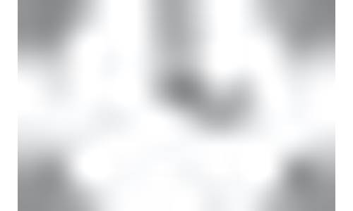 龙头股怎么找最简单(股票怎么开户新手怎么买股票)_https://www.rzcpcj.com_开网店_第1张