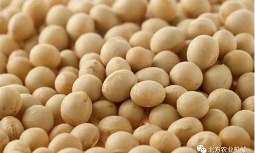 种业期货与大豆期货(种业期货与大豆期货哪个好)_https://www.rzcpcj.com_直通车_第1张