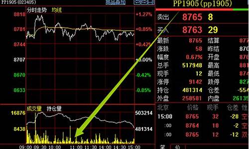 pp期货情况(pp期货)_https://www.rzcpcj.com_代运营_第1张