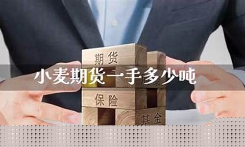 小麦期货一手多少吨(小麦期货一手需要多少钱)_https://www.rzcpcj.com_天猫运营_第1张