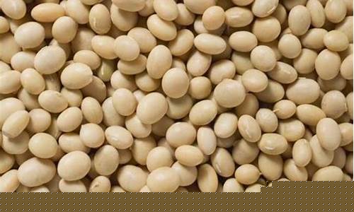 期货豆钵(期货豆粕最新行情)_https://www.rzcpcj.com_抖音快手_第1张