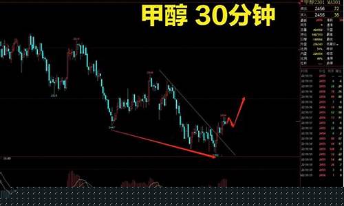 甲醇螺纹期货行情分析最新(螺纹2405期货行情分析)_https://www.rzcpcj.com_天猫运营_第1张