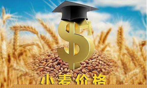 小麦价格2022最新期货行情(小麦价格行情走势分析)_https://www.rzcpcj.com_天猫运营_第1张