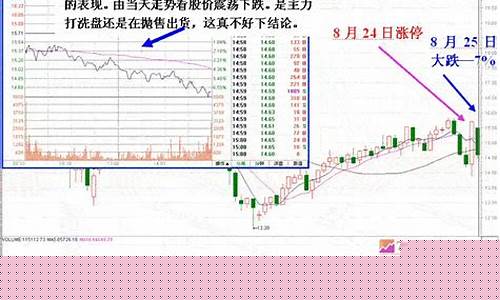 什么叫洗盘 庄家如何洗盘(股市什么叫洗盘)_https://www.rzcpcj.com_淘宝运营_第1张