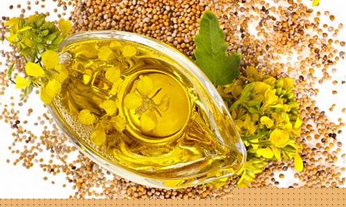 加拿大菜籽油期货行情分析(加拿大菜籽油行情证券之星)_https://www.rzcpcj.com_天猫运营_第1张