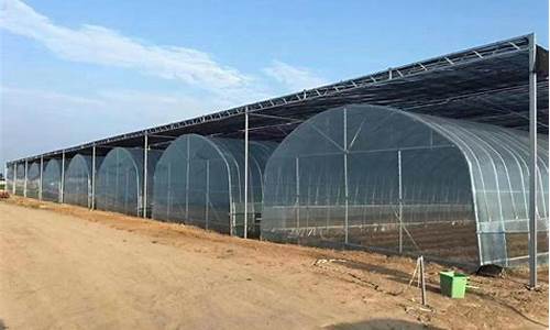 塑料大棚膜多少钱一公斤(无滴大棚膜多少钱一斤)_https://www.rzcpcj.com_直通车_第1张