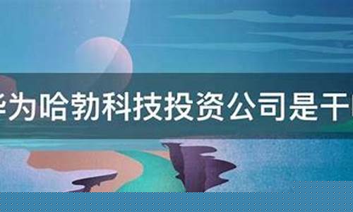 创业投资公司是干嘛的(创业投资公司是干什么的)_https://www.rzcpcj.com_开网店_第1张