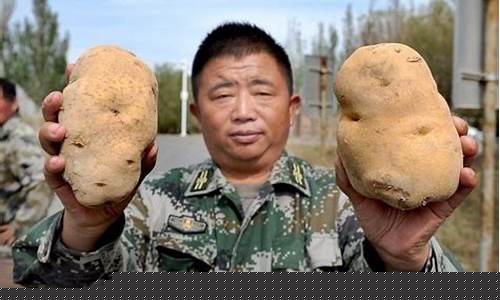 新疆土豆期货行情网站首页_https://www.rzcpcj.com_天猫运营_第1张