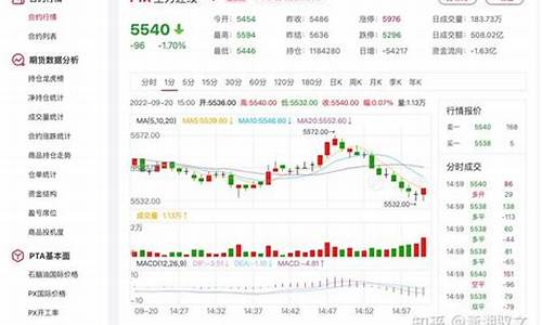 pta期货最新实时行情9.2号(大宗商品期货实时行情)_https://www.rzcpcj.com_淘宝运营_第1张