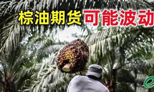 南宁棕油期货最新行情(棕油现货今日价格最新行情)_https://www.rzcpcj.com_直通车_第1张