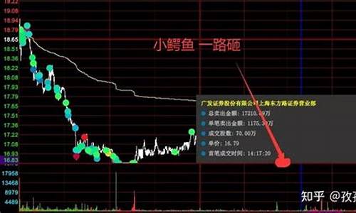 股市直播孙老哥(股市直播孙老哥是真的吗)_https://www.rzcpcj.com_开网店_第1张
