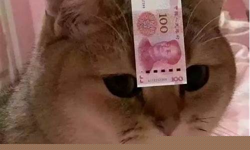 报价表情包(报价的图)_https://www.rzcpcj.com_开网店_第1张