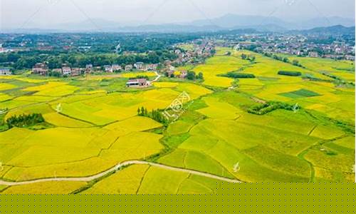 基本农田(基本农田保护条例)_https://www.rzcpcj.com_直通车_第1张