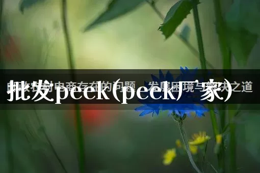 批发peek(peek厂家)_https://www.rzcpcj.com_抖音快手_第1张