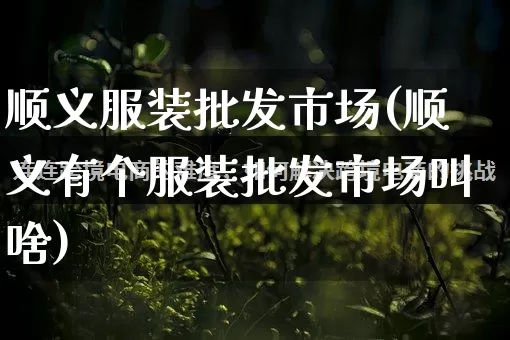 顺义服装批发市场(顺义有个服装批发市场叫啥)_https://www.rzcpcj.com_抖音快手_第1张