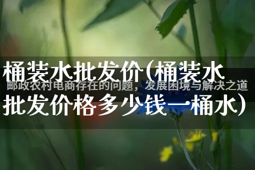 桶装水批发价(桶装水批发价格多少钱一桶水)_https://www.rzcpcj.com_开网店_第1张