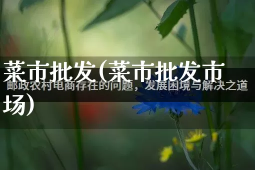 菜市批发(菜市批发市场)_https://www.rzcpcj.com_抖音快手_第1张