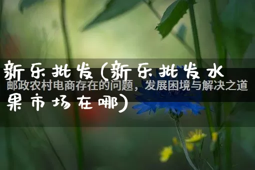 新乐批发(新乐批发水果市场在哪)_https://www.rzcpcj.com_天猫运营_第1张