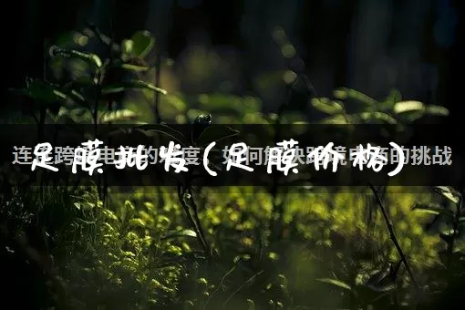 足膜批发(足膜价格)_https://www.rzcpcj.com_抖音快手_第1张