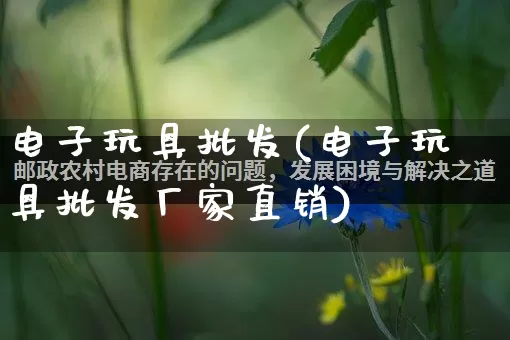 电子玩具批发(电子玩具批发厂家直销)_https://www.rzcpcj.com_代运营_第1张