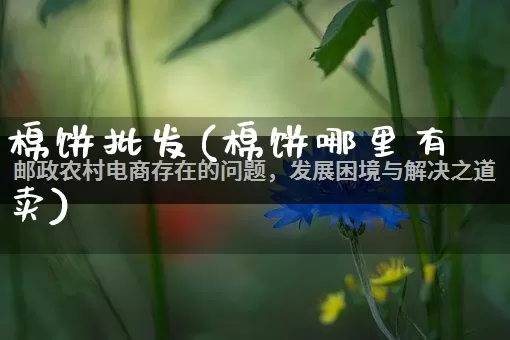 棉饼批发(棉饼哪里有卖)_https://www.rzcpcj.com_直通车_第1张