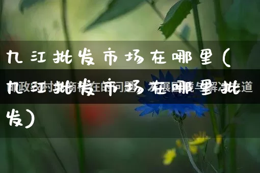 九江批发市场在哪里(九江批发市场在哪里批发)_https://www.rzcpcj.com_抖音快手_第1张