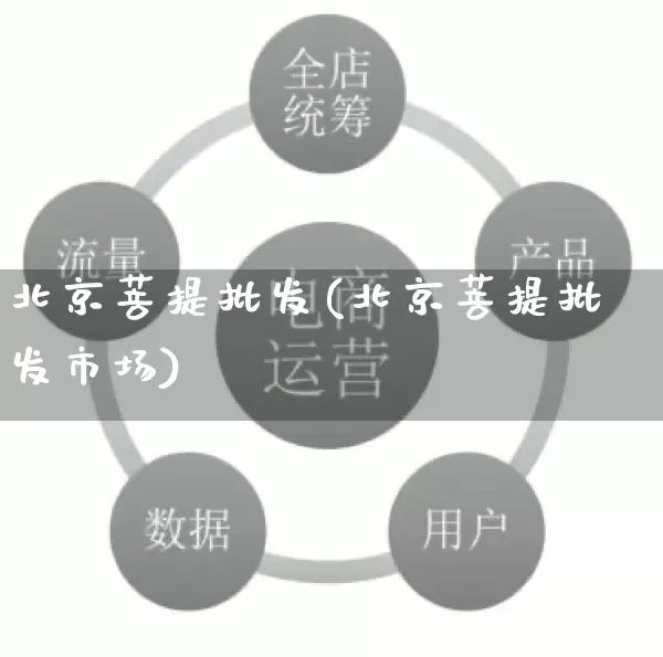 北京菩提批发(北京菩提批发市场)_https://www.rzcpcj.com_直通车_第1张