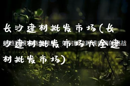 长沙建材批发市场(长沙建材批发市场大全建材批发市场)_https://www.rzcpcj.com_开网店_第1张