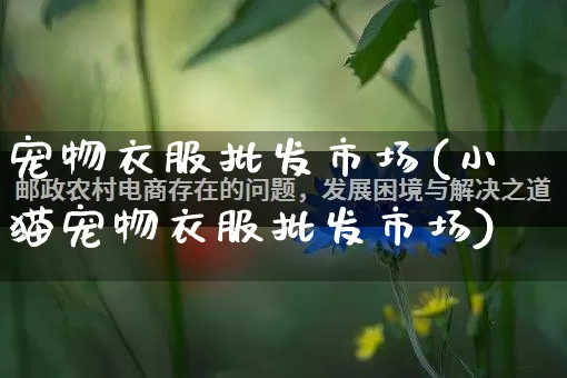 宠物衣服批发市场(小猫宠物衣服批发市场)_https://www.rzcpcj.com_天猫运营_第1张