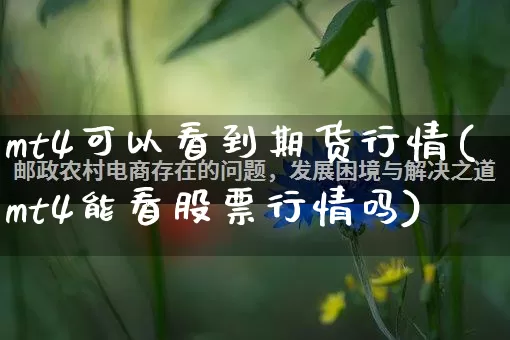 mt4可以看到期货行情(mt4能看股票行情吗)_https://www.rzcpcj.com_天猫运营_第1张