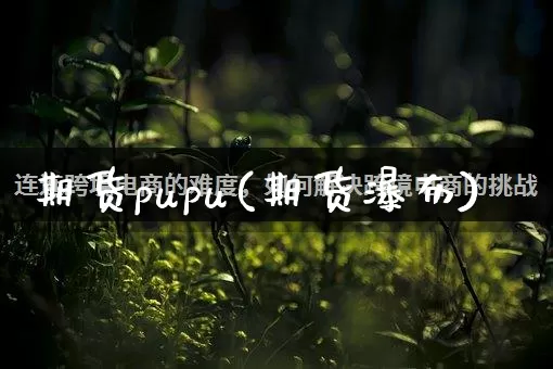期货pupu(期货瀑布)_https://www.rzcpcj.com_直通车_第1张
