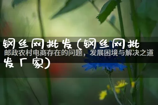 钢丝网批发(钢丝网批发厂家)_https://www.rzcpcj.com_淘宝运营_第1张