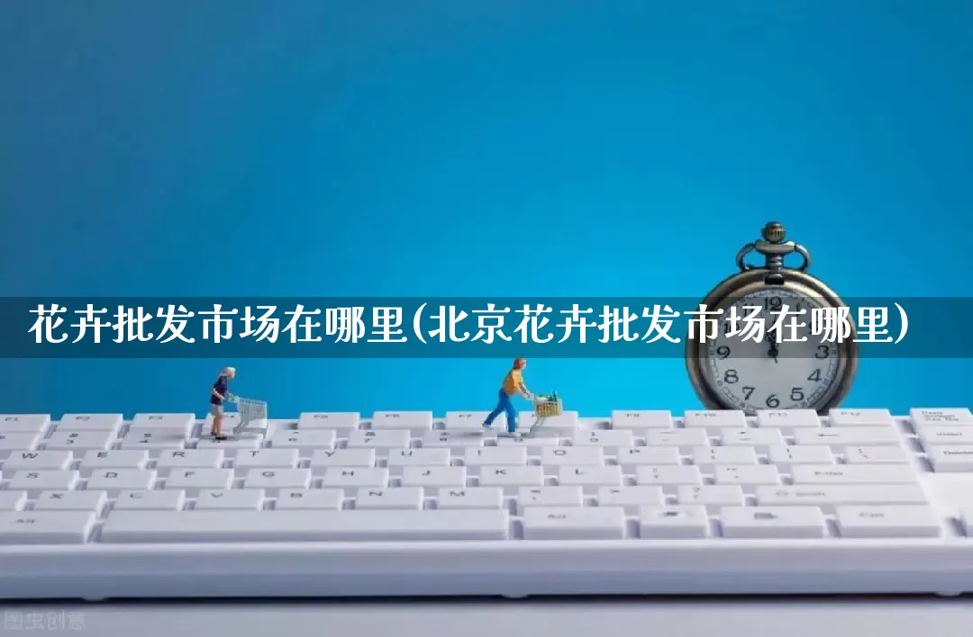 花卉批发市场在哪里(北京花卉批发市场在哪里)_https://www.rzcpcj.com_天猫运营_第1张
