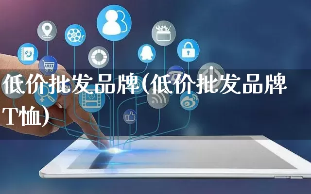 低价批发品牌(低价批发品牌T恤)_https://www.rzcpcj.com_开网店_第1张