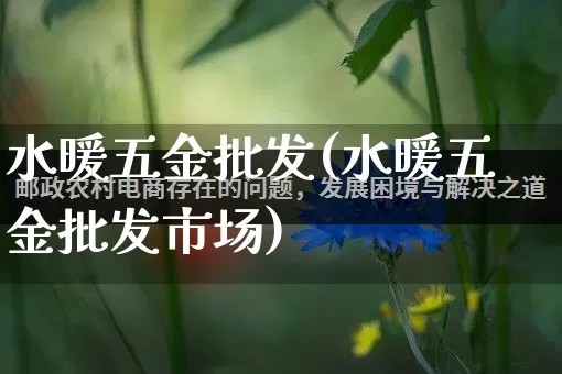 水暖五金批发(水暖五金批发市场)_https://www.rzcpcj.com_直通车_第1张