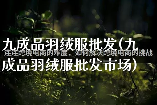 九成品羽绒服批发(九成品羽绒服批发市场)_https://www.rzcpcj.com_代运营_第1张