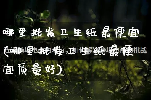 哪里批发卫生纸最便宜(哪里批发卫生纸最便宜质量好)_https://www.rzcpcj.com_直通车_第1张