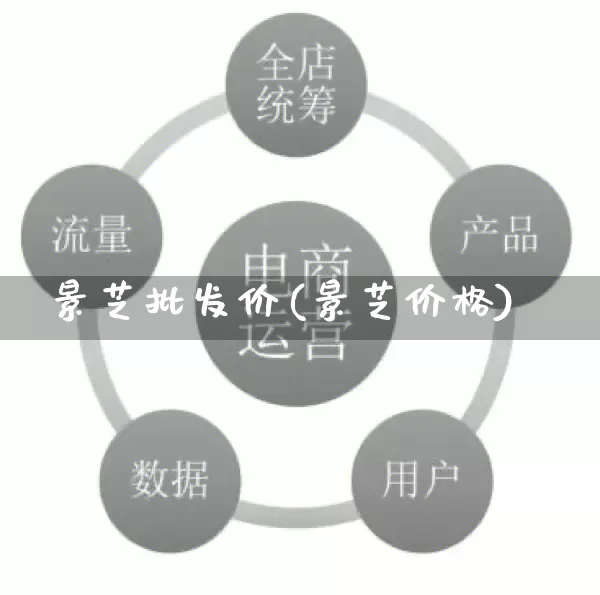 景芝批发价(景芝价格)_https://www.rzcpcj.com_代运营_第1张