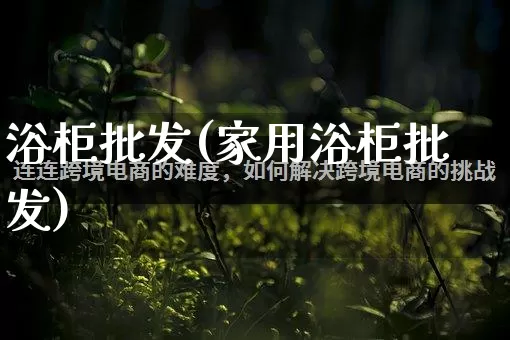 浴柜批发(家用浴柜批发)_https://www.rzcpcj.com_开网店_第1张