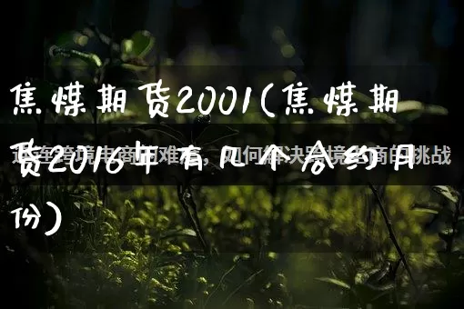焦煤期货2001(焦煤期货2016年有几个合约月份)_https://www.rzcpcj.com_代运营_第1张