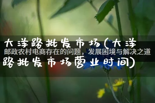 大洋路批发市场(大洋路批发市场营业时间)_https://www.rzcpcj.com_开网店_第1张