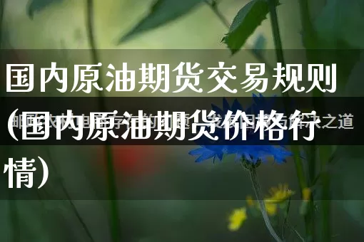 国内原油期货交易规则(国内原油期货价格行情)_https://www.rzcpcj.com_代运营_第1张