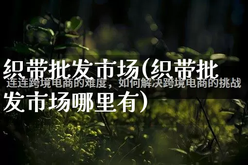织带批发市场(织带批发市场哪里有)_https://www.rzcpcj.com_开网店_第1张