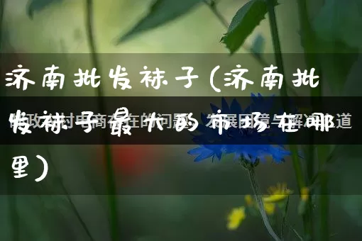 济南批发袜子(济南批发袜子最大的市场在哪里)_https://www.rzcpcj.com_直通车_第1张