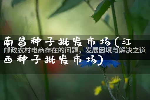 南昌种子批发市场(江西种子批发市场)_https://www.rzcpcj.com_淘宝运营_第1张