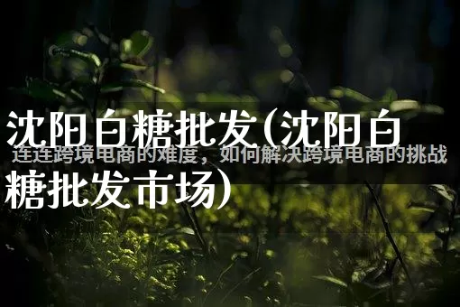 沈阳白糖批发(沈阳白糖批发市场)_https://www.rzcpcj.com_抖音快手_第1张