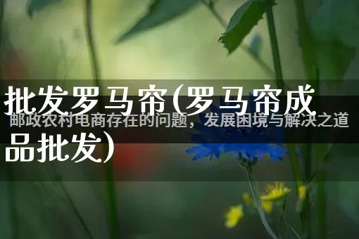 批发罗马帘(罗马帘成品批发)_https://www.rzcpcj.com_淘宝运营_第1张