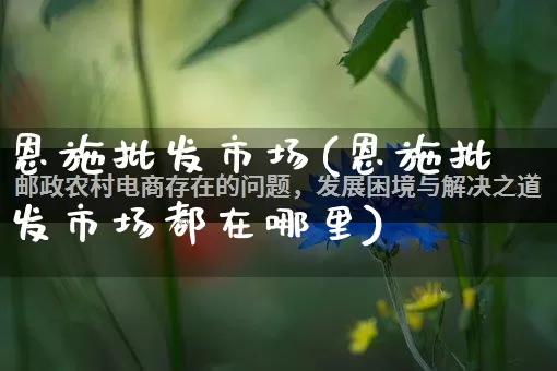 恩施批发市场(恩施批发市场都在哪里)_https://www.rzcpcj.com_代运营_第1张