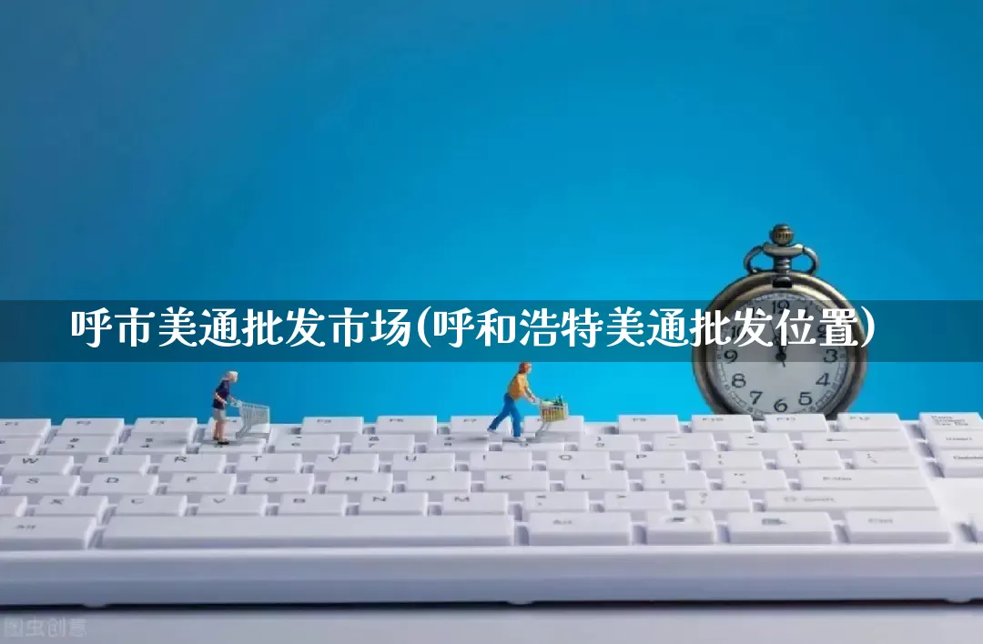 呼市美通批发市场(呼和浩特美通批发位置)_https://www.rzcpcj.com_淘宝运营_第1张