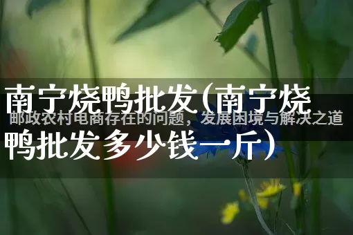 南宁烧鸭批发(南宁烧鸭批发多少钱一斤)_https://www.rzcpcj.com_抖音快手_第1张